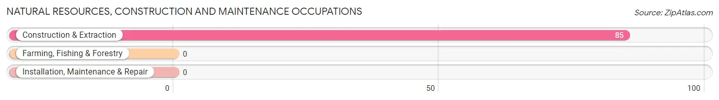 Natural Resources, Construction and Maintenance Occupations in Zip Code 90014