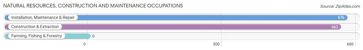 Natural Resources, Construction and Maintenance Occupations in Zip Code 90606