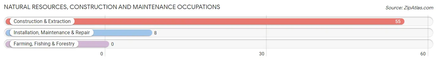 Natural Resources, Construction and Maintenance Occupations in Zip Code 91105