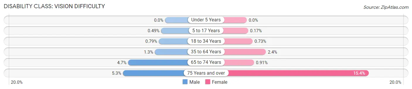 Disability in Zip Code 91304: <span>Vision Difficulty</span>