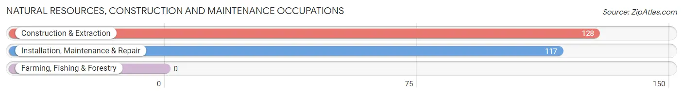 Natural Resources, Construction and Maintenance Occupations in Zip Code 91381