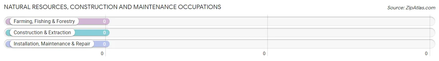 Natural Resources, Construction and Maintenance Occupations in Zip Code 92259