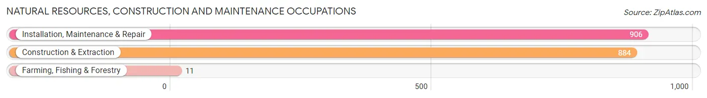 Natural Resources, Construction and Maintenance Occupations in Zip Code 92395