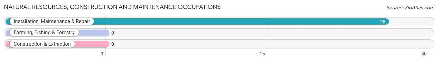 Natural Resources, Construction and Maintenance Occupations in Zip Code 93645