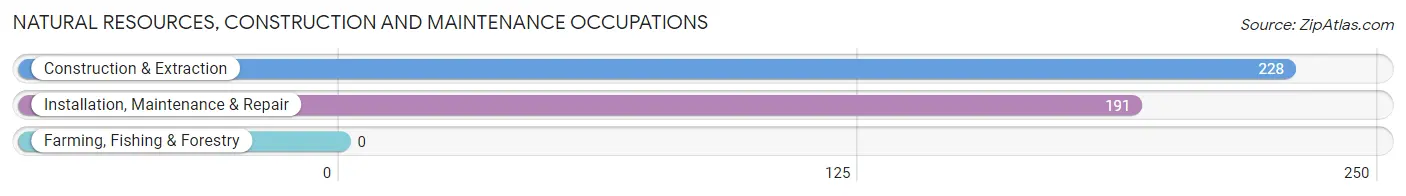 Natural Resources, Construction and Maintenance Occupations in Zip Code 94542