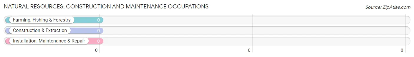 Natural Resources, Construction and Maintenance Occupations in Zip Code 94938