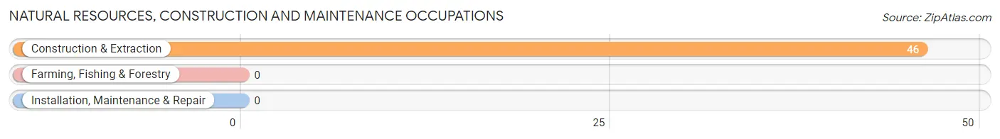 Natural Resources, Construction and Maintenance Occupations in Zip Code 95041
