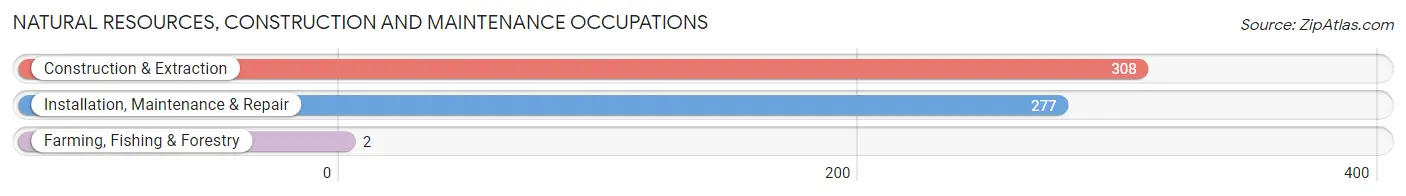 Natural Resources, Construction and Maintenance Occupations in Zip Code 95138
