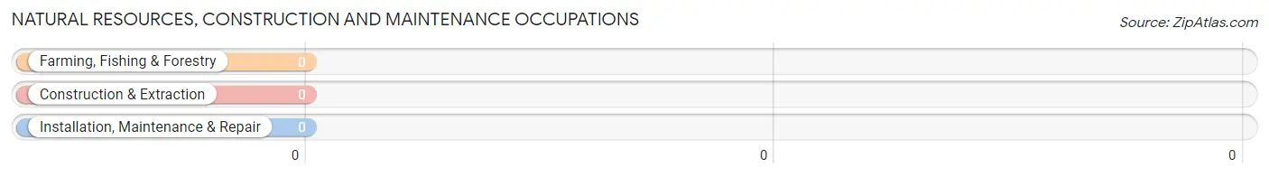 Natural Resources, Construction and Maintenance Occupations in Zip Code 95435