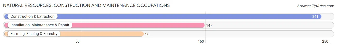 Natural Resources, Construction and Maintenance Occupations in Zip Code 96790