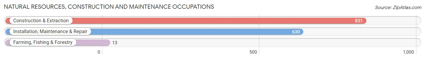 Natural Resources, Construction and Maintenance Occupations in Zip Code 98037