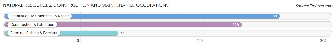 Natural Resources, Construction and Maintenance Occupations in Zip Code 98051