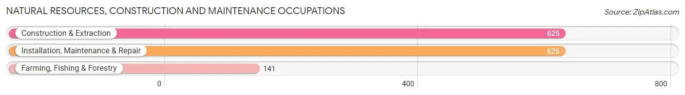Natural Resources, Construction and Maintenance Occupations in Zip Code 98225