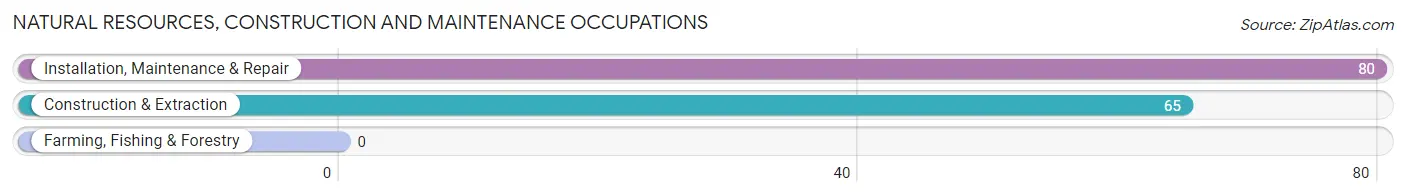 Natural Resources, Construction and Maintenance Occupations in Zip Code 98356