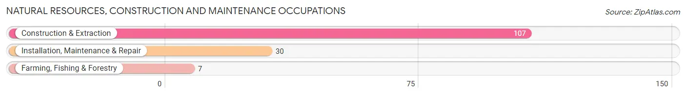 Natural Resources, Construction and Maintenance Occupations in Zip Code 98392