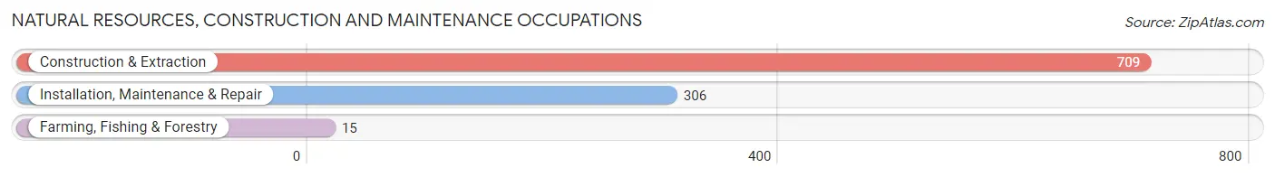 Natural Resources, Construction and Maintenance Occupations in Zip Code 98405
