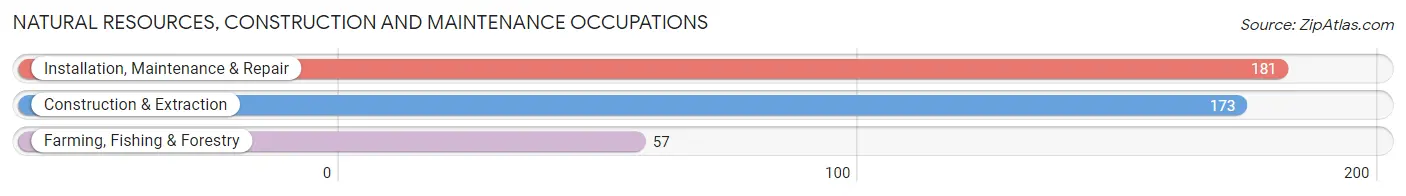 Natural Resources, Construction and Maintenance Occupations in Zip Code 98465