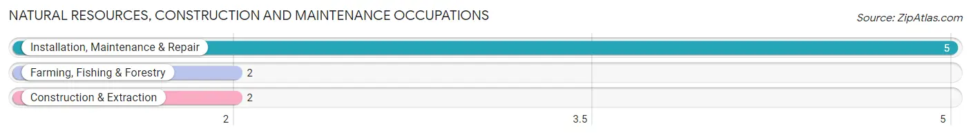 Natural Resources, Construction and Maintenance Occupations in Zip Code 98860