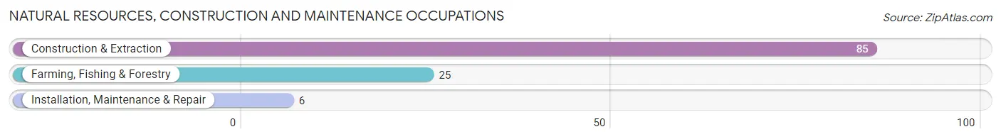 Natural Resources, Construction and Maintenance Occupations in Zip Code 99013