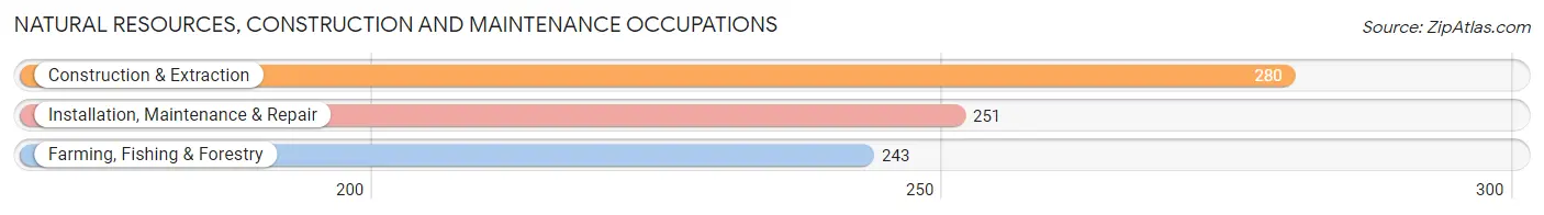Natural Resources, Construction and Maintenance Occupations in Zip Code 99163