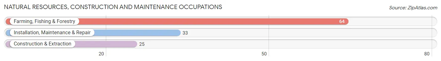 Natural Resources, Construction and Maintenance Occupations in Zip Code 99347