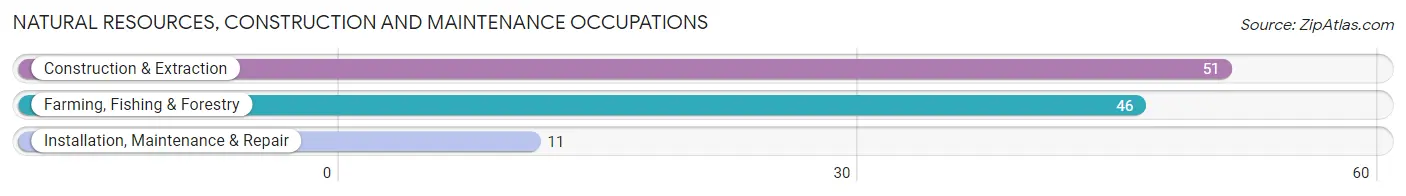 Natural Resources, Construction and Maintenance Occupations in Zip Code 99921
