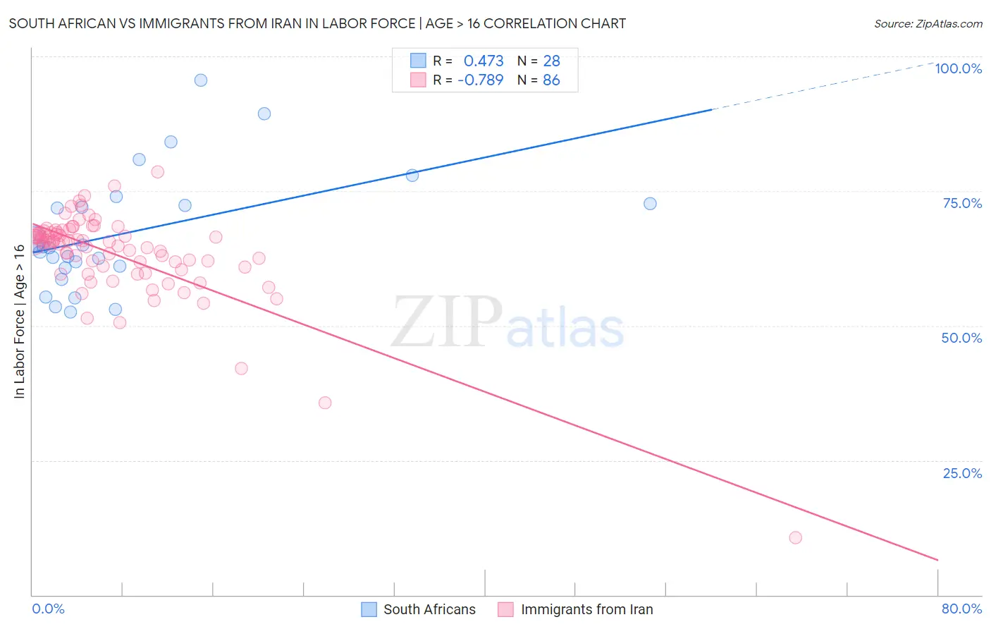 South African vs Immigrants from Iran In Labor Force | Age > 16