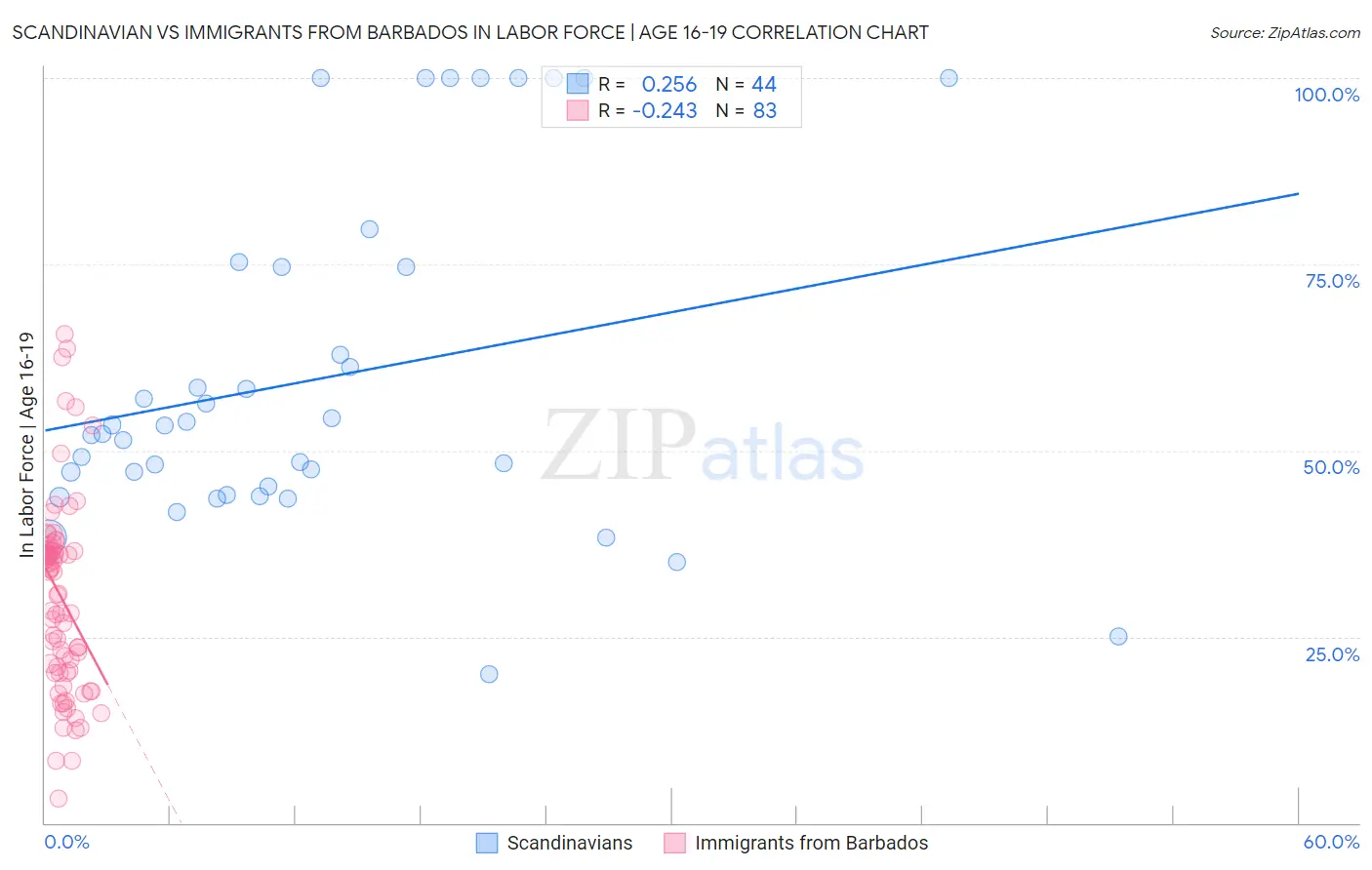 Scandinavian vs Immigrants from Barbados In Labor Force | Age 16-19