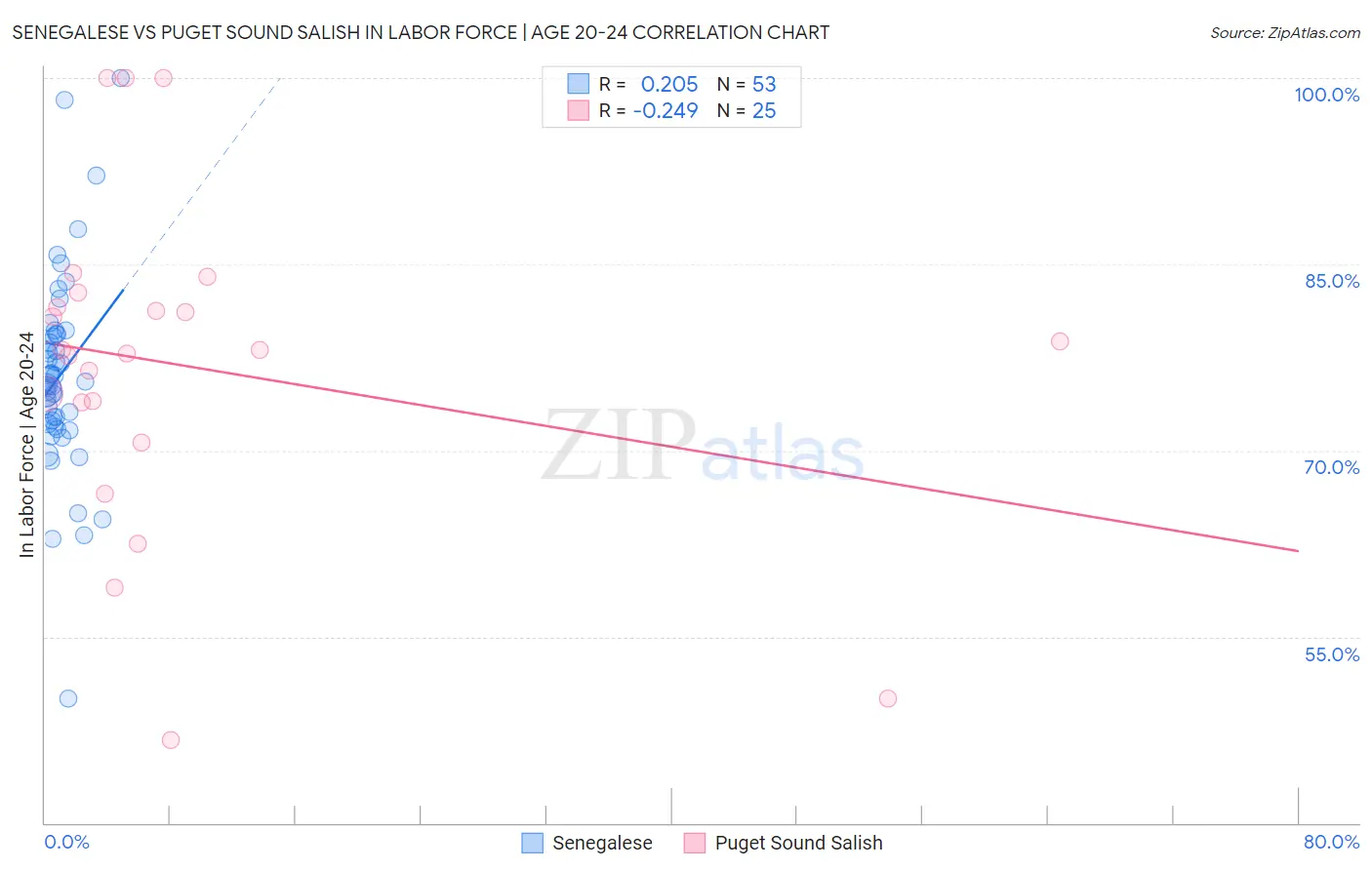 Senegalese vs Puget Sound Salish In Labor Force | Age 20-24