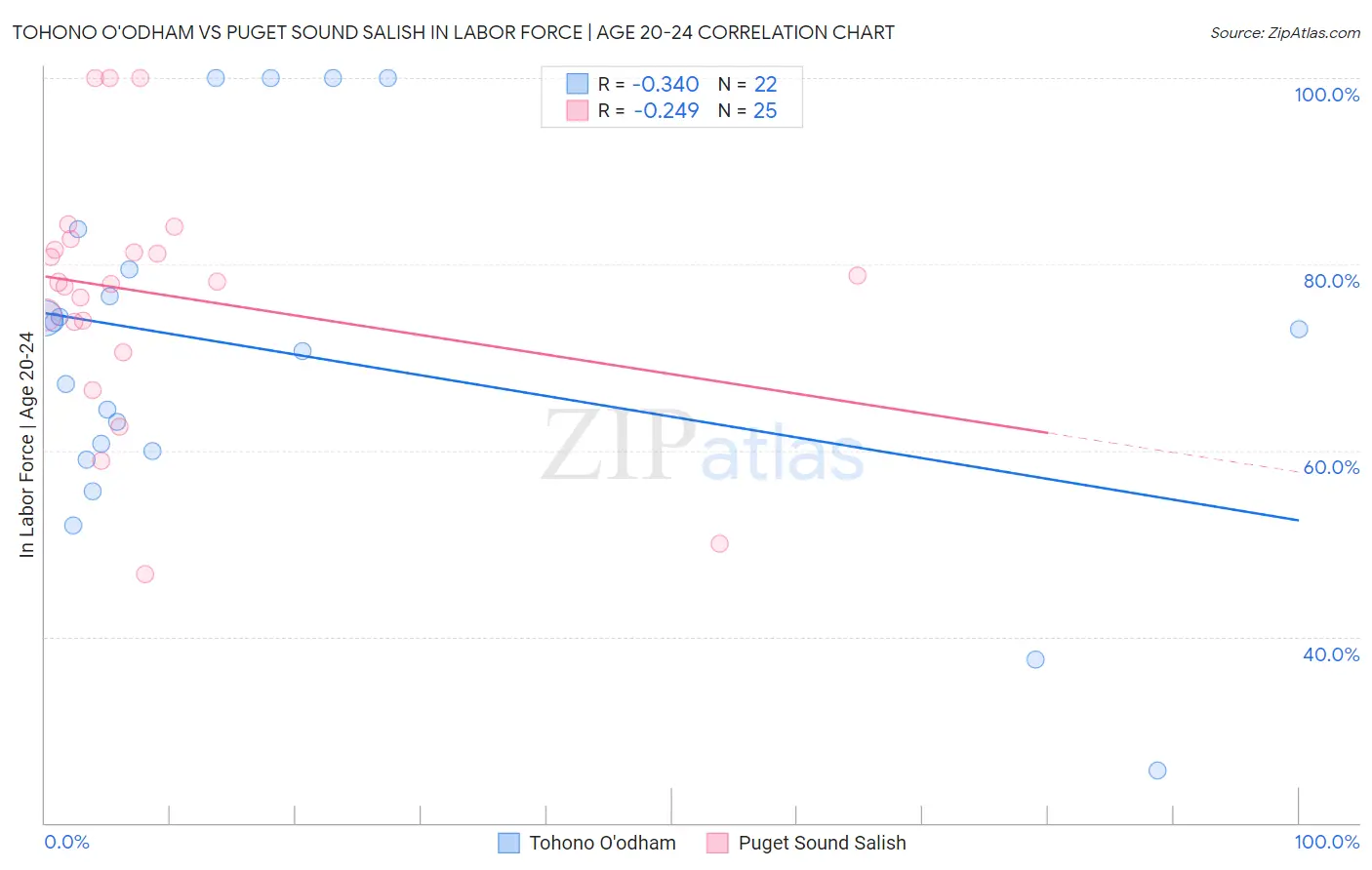 Tohono O'odham vs Puget Sound Salish In Labor Force | Age 20-24