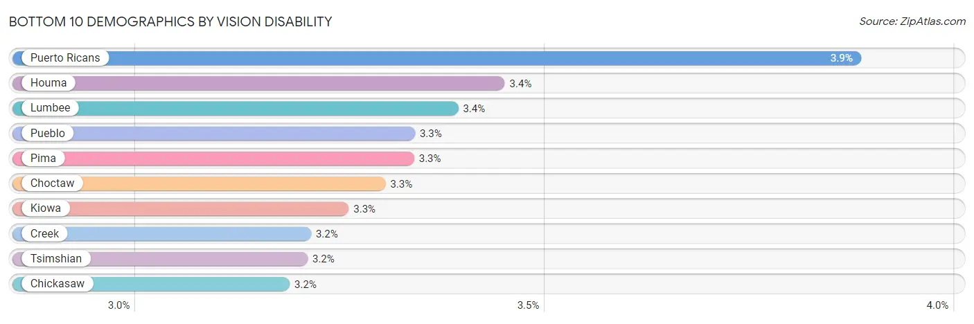 Bottom 10 Demographics by Vision Disability