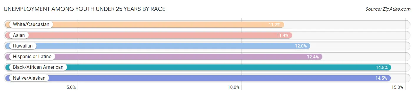 Unemployment Among Youth under 25 years by Race