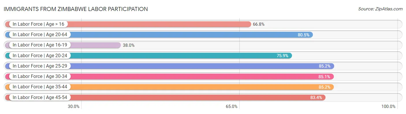 Immigrants from Zimbabwe Labor Participation